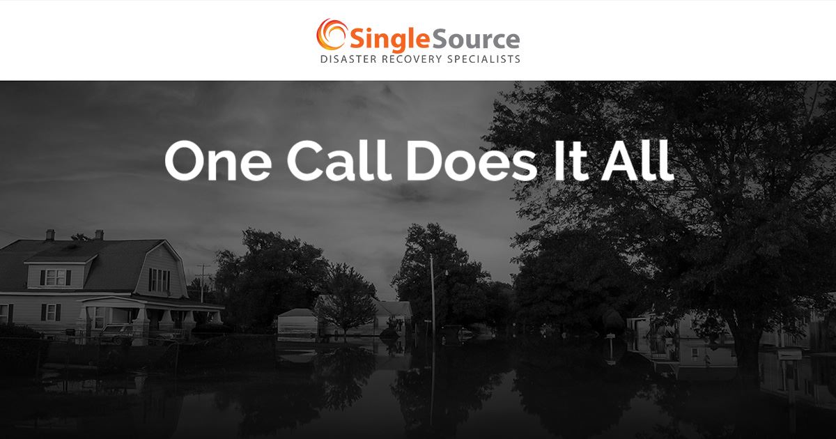 Black Mold Symptoms Removal and Cleaning Single Source