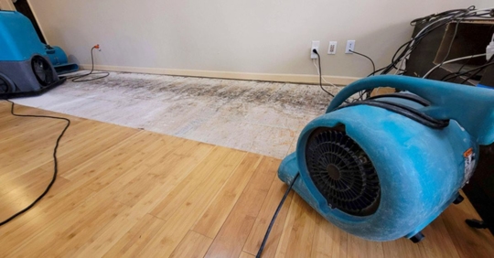 structural drying service